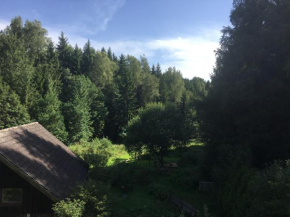 Tirschenreuth